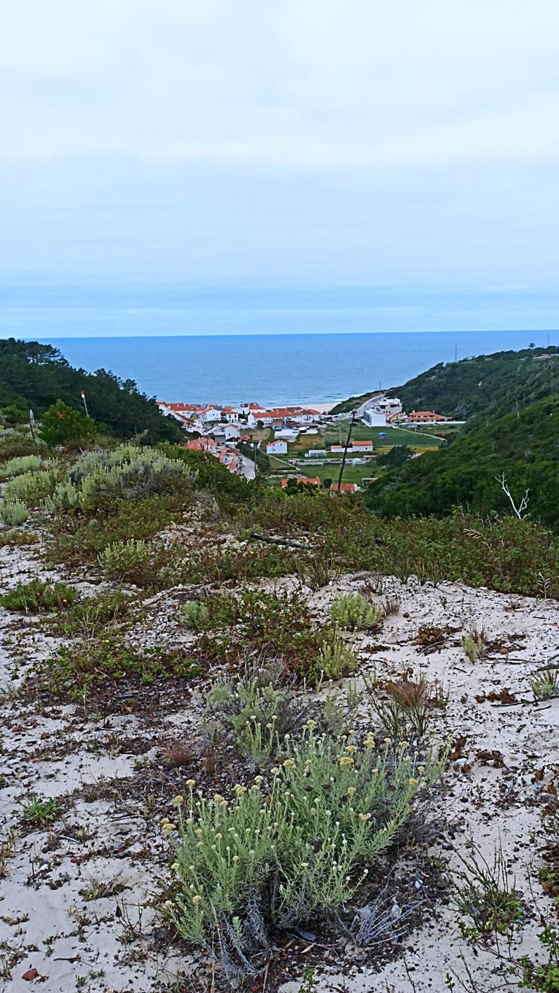Tinyhouse Tilda - Near Famous Beaches Pataias Extérieur photo