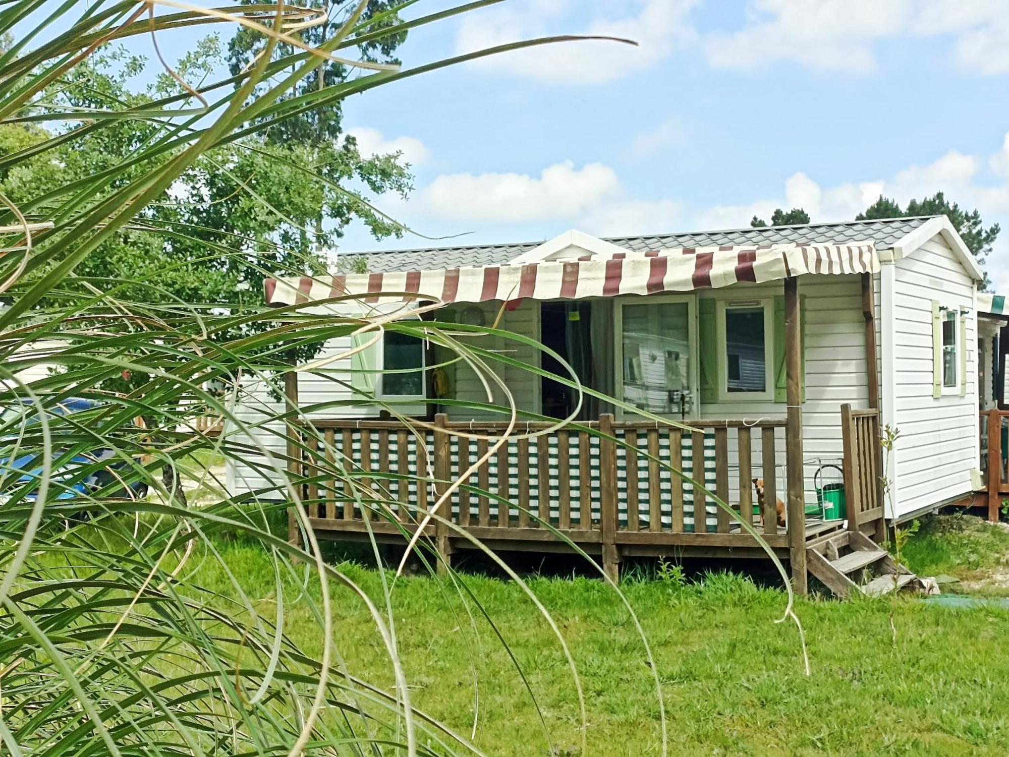 Tinyhouse Tilda - Near Famous Beaches Pataias Extérieur photo