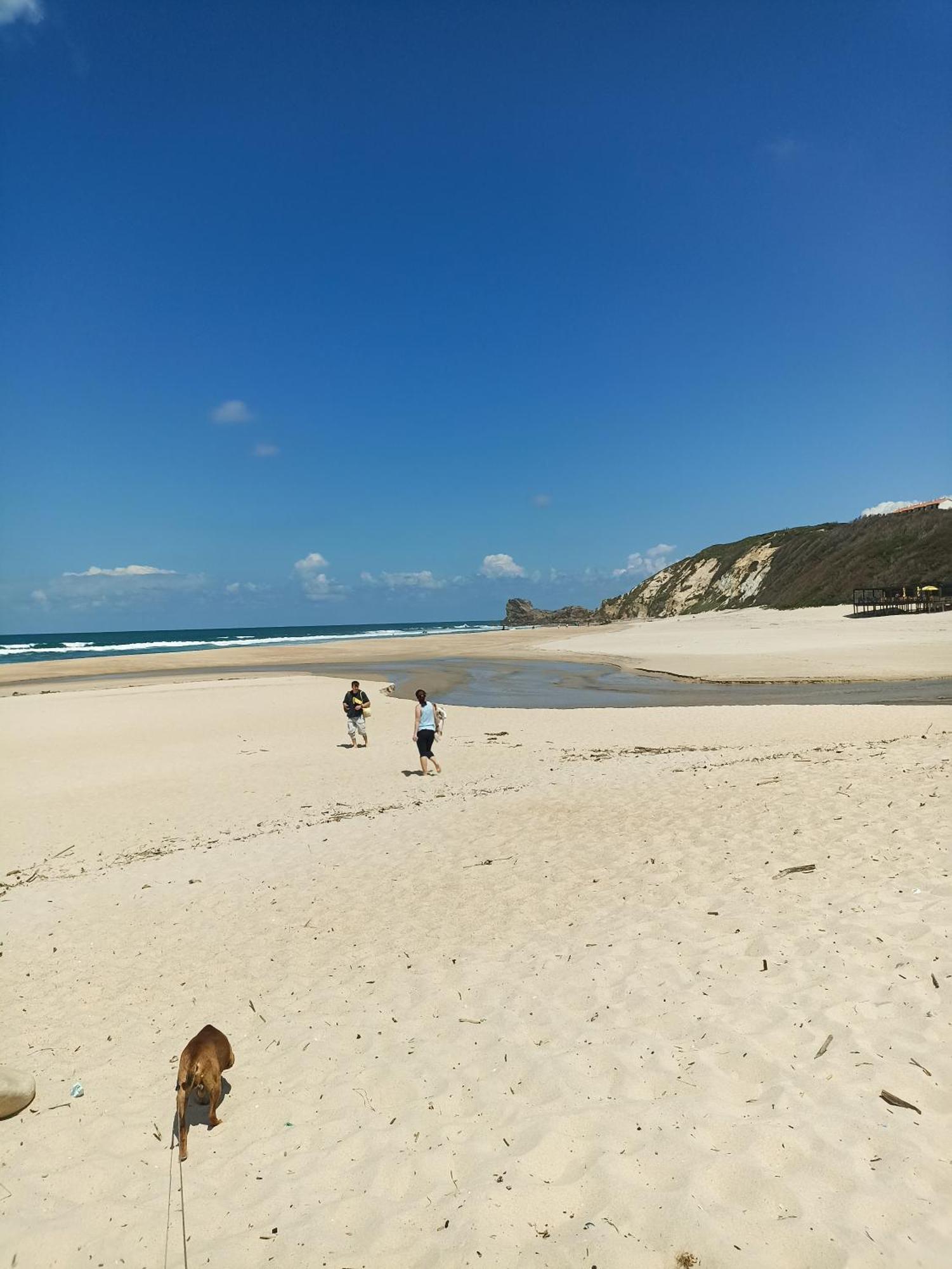 Tinyhouse Tilda - Near Famous Beaches Pataias Extérieur photo