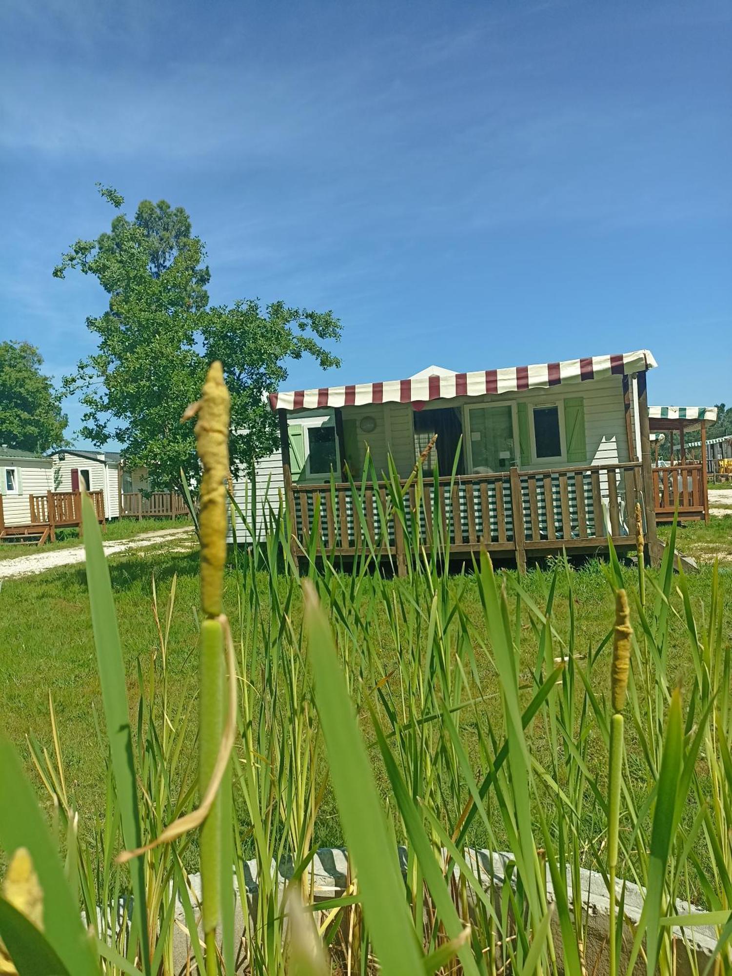 Tinyhouse Tilda - Near Famous Beaches Pataias Extérieur photo